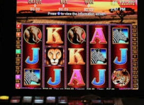 ledong网页版入口手机版