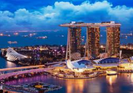 ledong网页版入口最新版