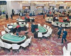 ledong网页版入口最新版