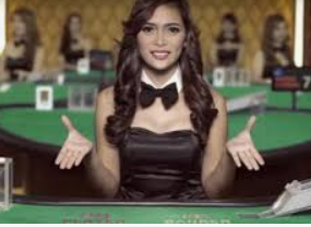 ledong网页版入口桌面版客户端