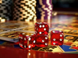 ledong网页版入口免费版